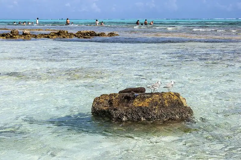 Acuario & Haynes Cay, em San Andrés