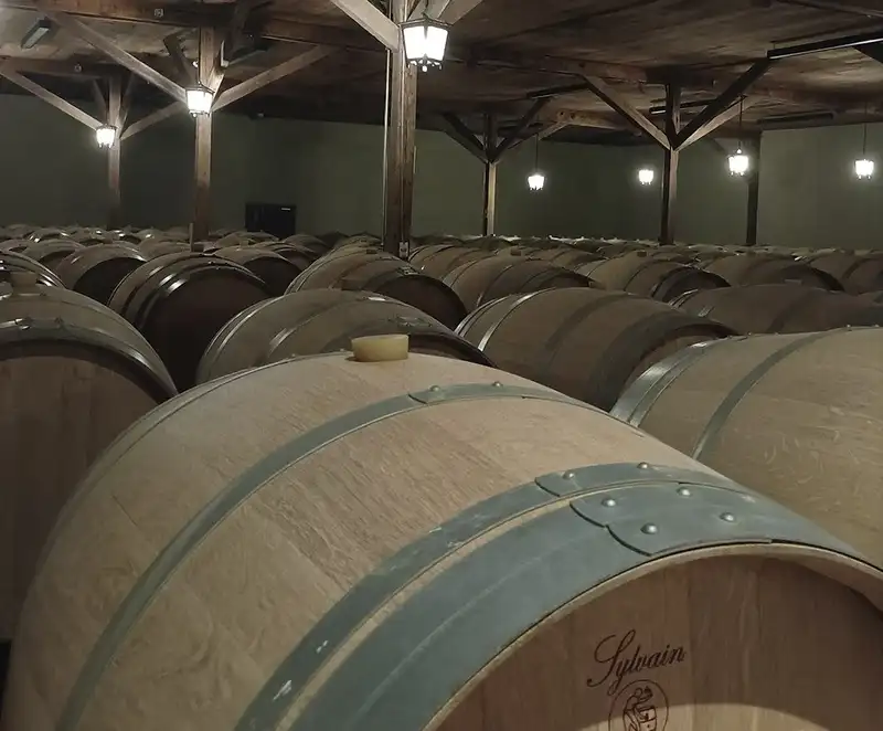 Vinícola Concha y Toro, passeio saindo de Santiago