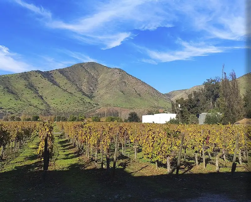 Vinícola Santa Rita, passeio saindo de Santiago