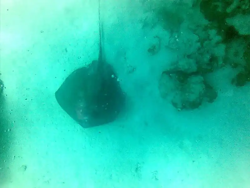 Tour Mundo Marino, em San Andrés