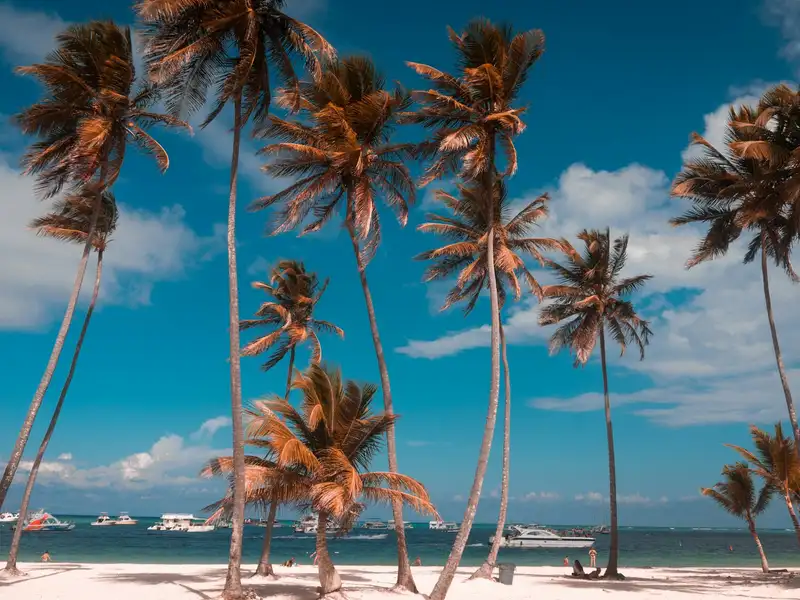Praia de Bávaro, em Punta Cana, com coqueiros