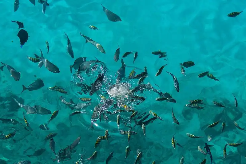 Snorkel na Pirámide, em San Andrés